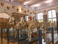 Fragonard Museum Travel Forum Reviews