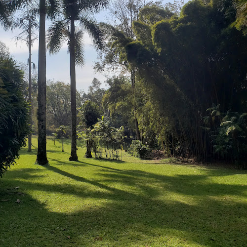 Francisco Javier Clavijero Botanical Garden