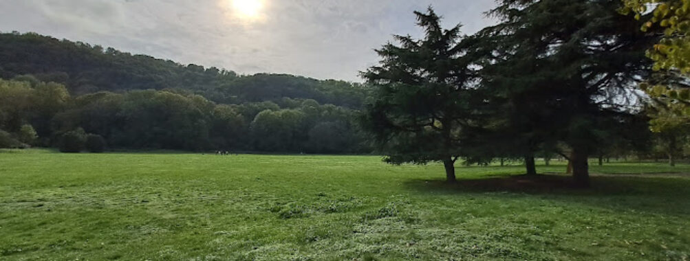 Frange Verte Travel Forum Reviews