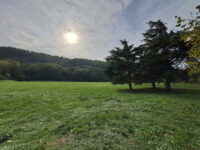 Frange Verte Travel Forum Reviews