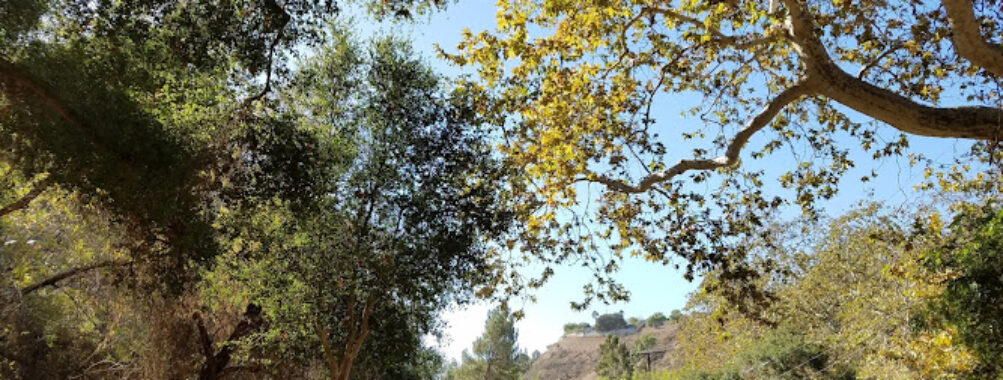 Franklin Canyon Park, Mountains Recreation & Conservation Authority Travel Forum Reviews