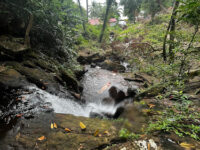 Freedom Waterfall Travel Forum Reviews