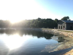 Friedman Park