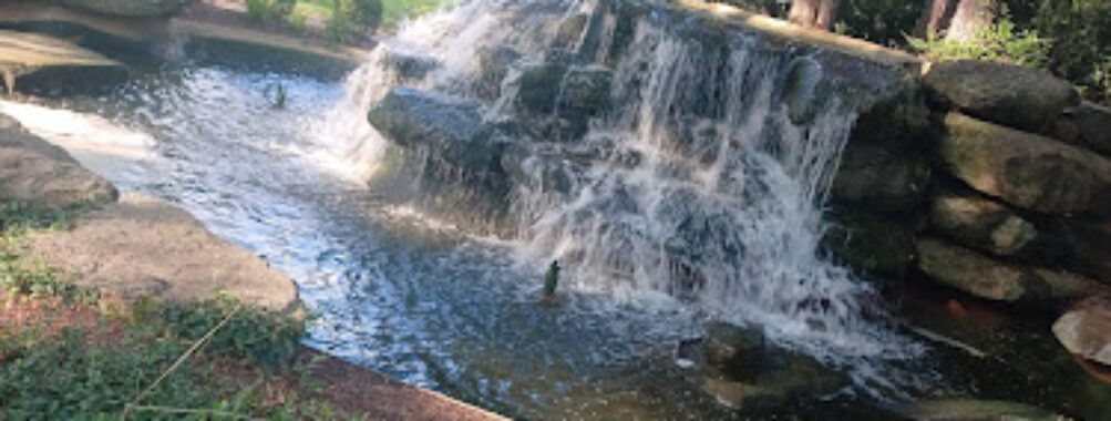 Friendship Gardens Park Travel Forum Reviews