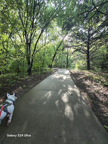 Frisco Commons Park Meadow