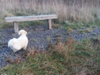 Frodingham Nature Reserve Travel Forum Reviews