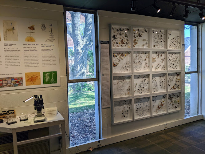 Frost Entomological Museum