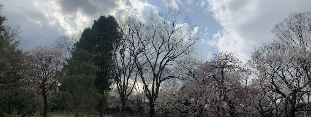 Fuchu City Local History Museum of Forest Travel Forum Reviews
