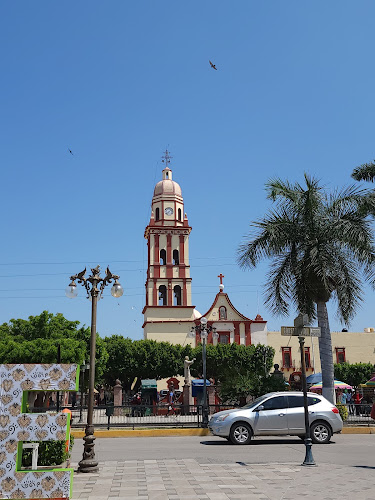 Fuente Danzante Rioverde