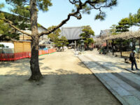 Fujiidera Travel Forum Reviews