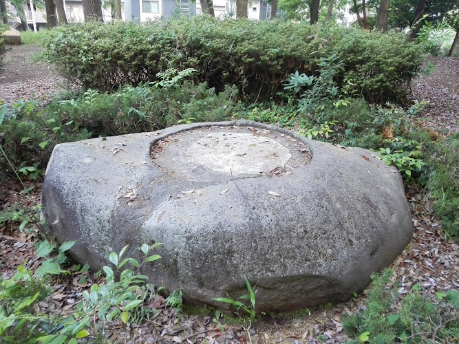 Fujisan Park