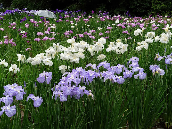 Fukiageshobu Park