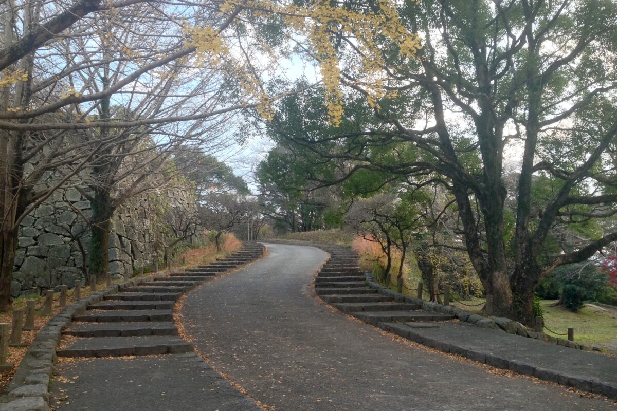 Full-day private minibus tour to Mount Aso from Fukuoka Review