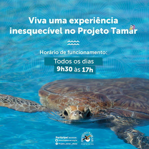 Fundação Projeto Tamar - Florianópolis
