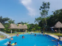 Fundo Pájaro Loco Travel Forum Reviews