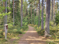 Fylleryd Travel Forum Reviews