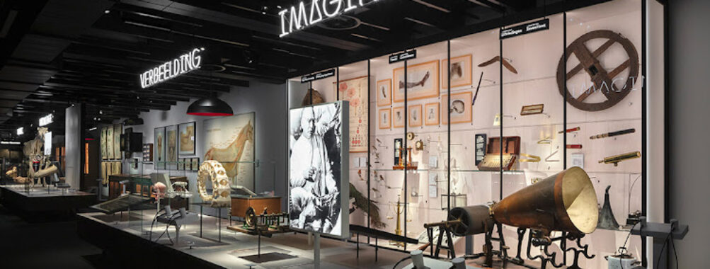 GUM - Gents Universiteitsmuseum & Plantentuin Travel Forum Reviews