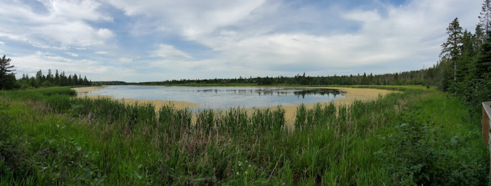 Gaetz Lakes Migratory Bird Sanctuary Travel Forum Reviews