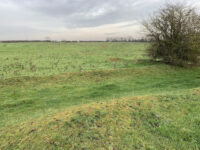 Gainsthorpe Medieval Village Travel Forum Reviews