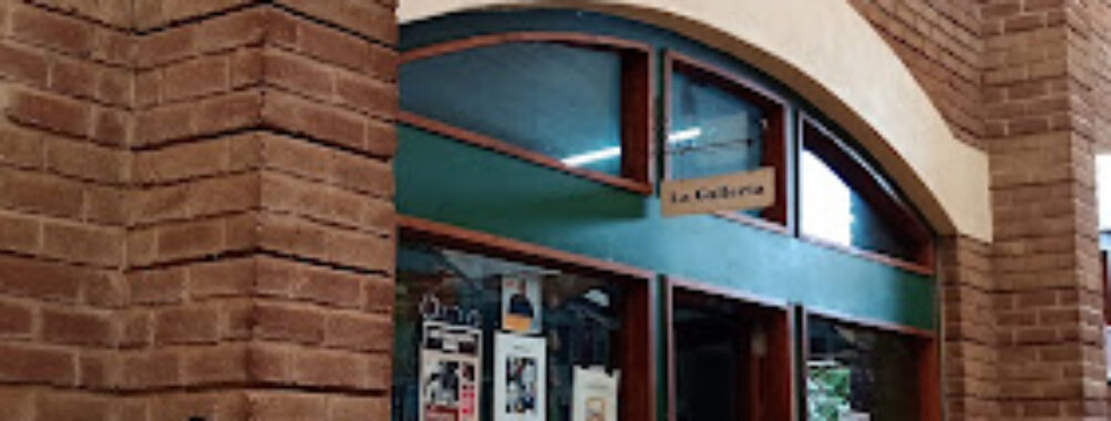 Galleria Africa (Malawi) Travel Forum Reviews