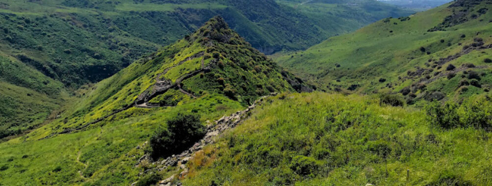 Gamla Nature Reserve Travel Forum Reviews
