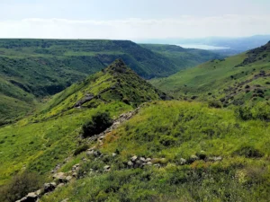 Gamla Nature Reserve