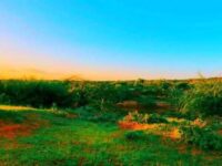 Garbahaarrey Travel Forum Reviews