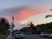 Garden City Acres Park Travel Forum Reviews