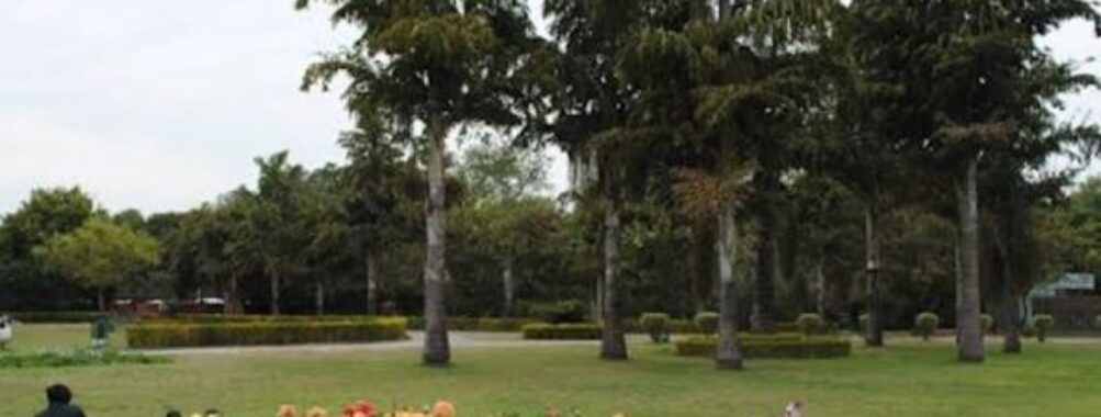 Garden of Fragrance, 36B Chandigarh Travel Forum Reviews