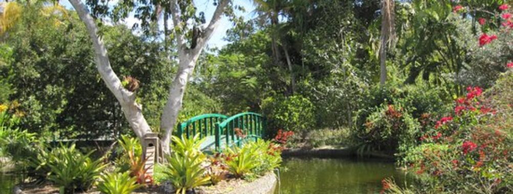 Garden of the Groves Travel Forum Reviews