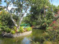 Garden of the Groves Travel Forum Reviews