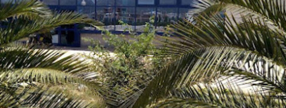 Gare Oum El Bouaghi Travel Forum Reviews