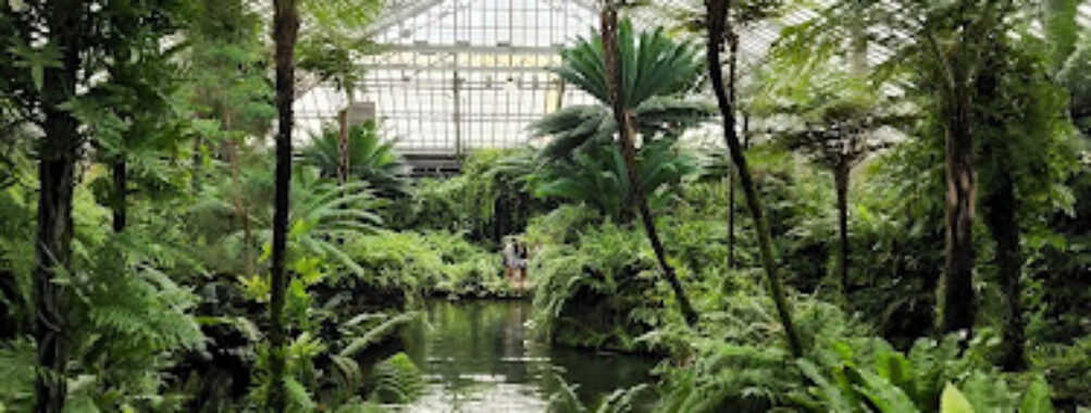 Garfield Park Conservatory Travel Forum Reviews