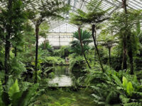 Garfield Park Conservatory Travel Forum Reviews