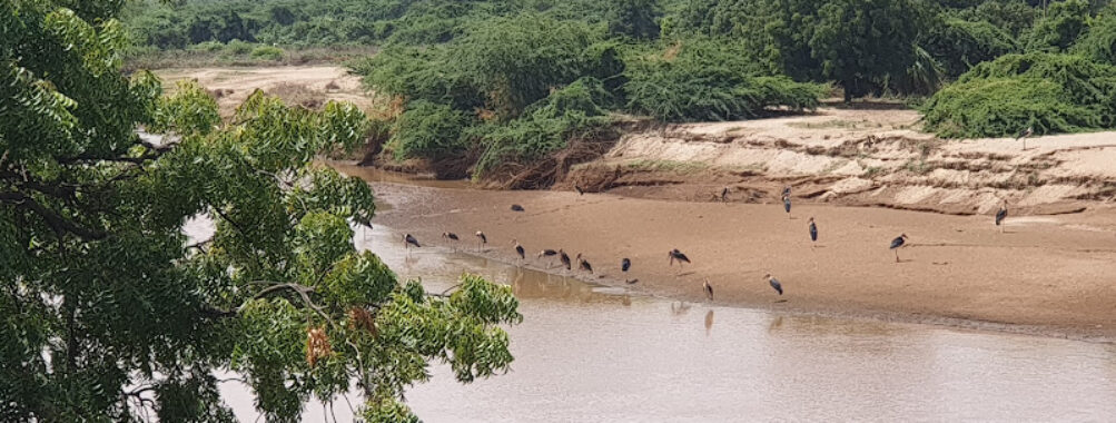 Garissa Tana River Bridge Travel Forum Reviews