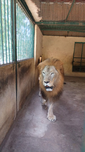 Garoua Zoological Garden