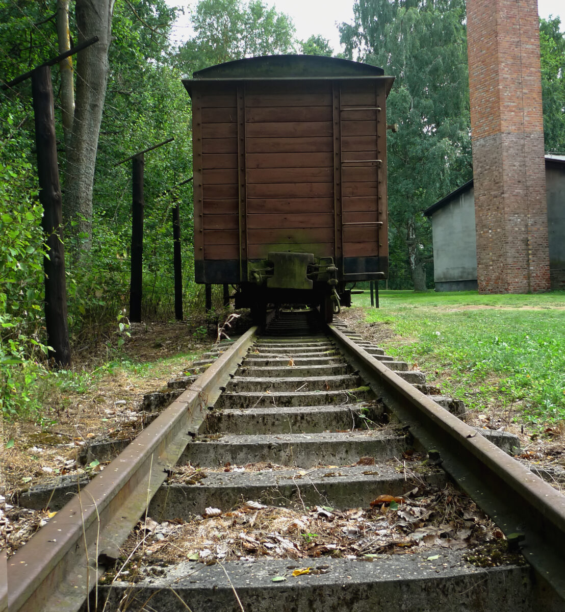 Vodka tour with local food tasting in Gdansk Review