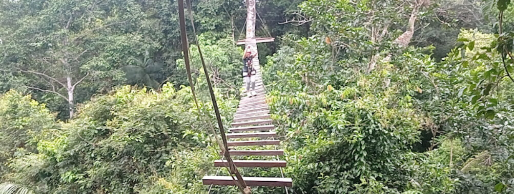 Gecko Extremo Travel Forum Reviews