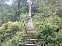 Gecko Extremo Travel Forum Reviews