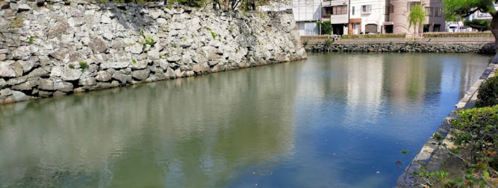 Gejo Bridge Travel Forum Reviews