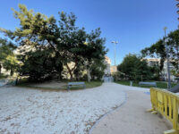 Général Leclerc Square Travel Forum Reviews