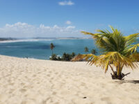 Genipabu Travel Forum Reviews