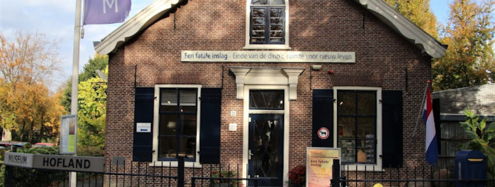 Geological Museum Hofland Travel Forum Reviews