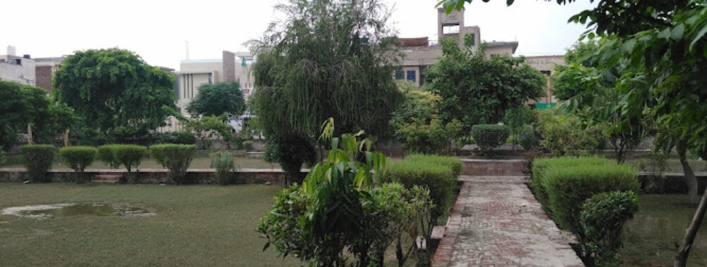 Ghazali Park Travel Forum Reviews