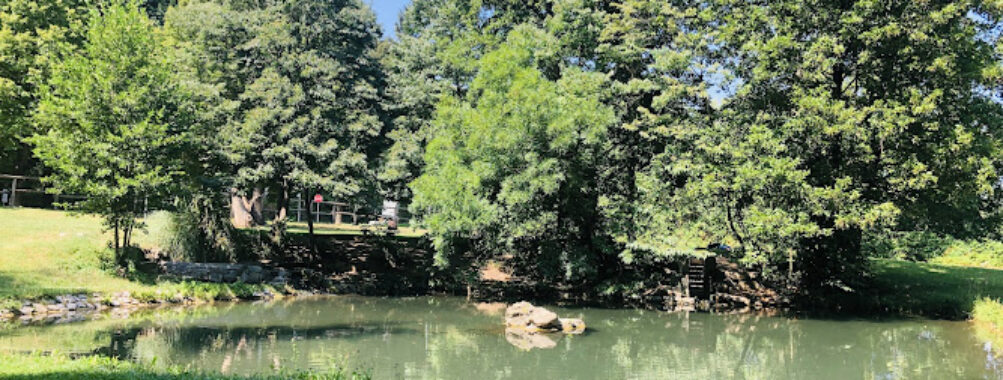 Giardini a lago Travel Forum Reviews