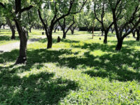 Giardini di infanzia Travel Forum Reviews