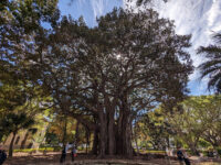 Giardino Garibaldi Travel Forum Reviews