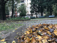 Giardino Villa De Ponti Travel Forum Reviews
