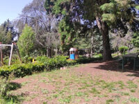 Giardino botanico Travel Forum Reviews