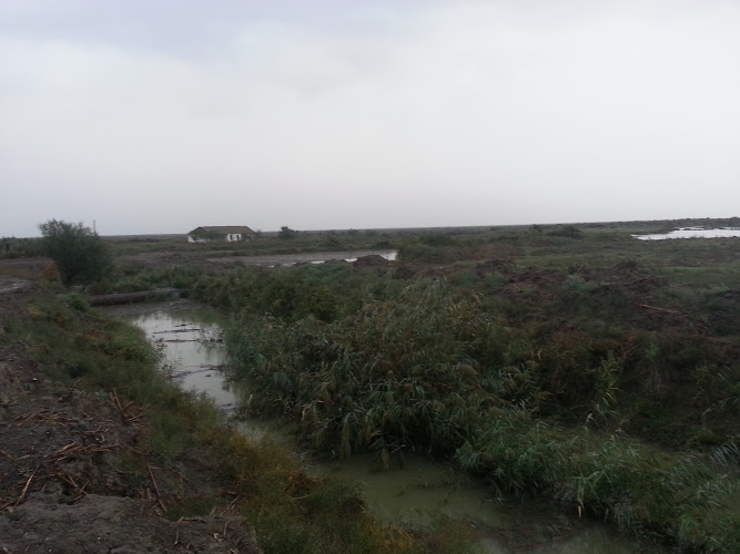 Gizil-Agach State Reserve